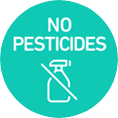 No Pesticides